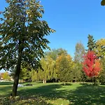 K's Place Golf برافيتس