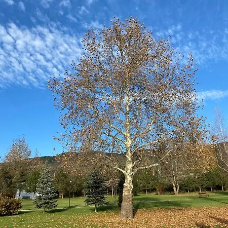 K's Place Golf Apartamento *