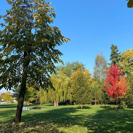K's Place Golf Prawec